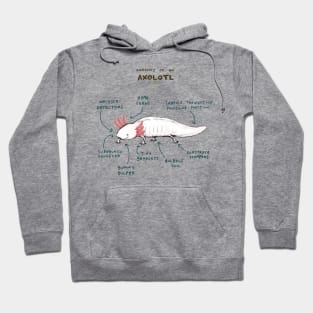 Anatomy of an Axolotl Hoodie